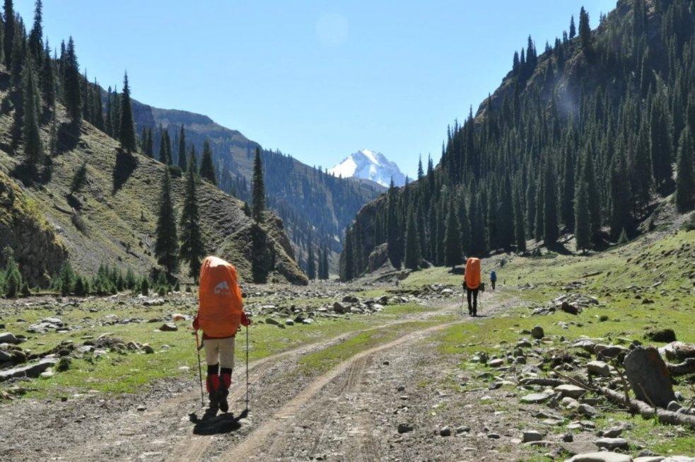 首列“柳州—佛山”卷钢专用集装箱班列发出